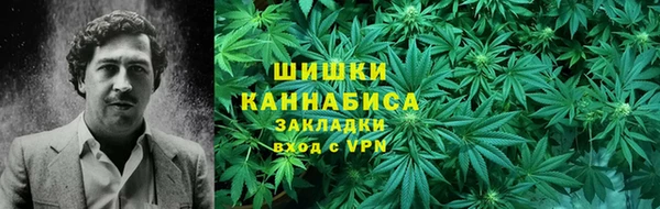 стаф Арсеньев