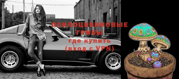 стаф Арсеньев