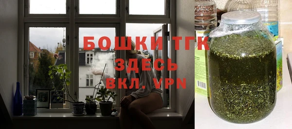 стаф Арсеньев