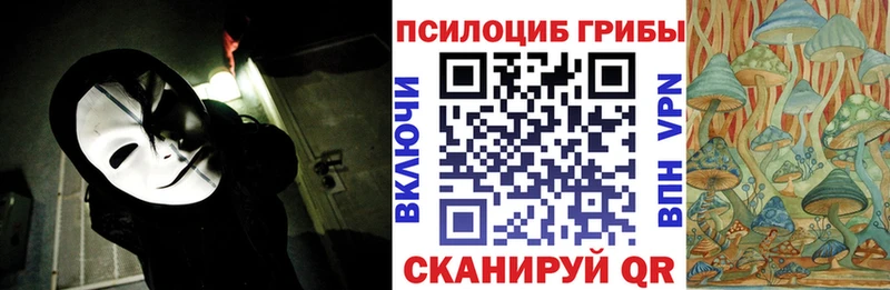 Галлюциногенные грибы Psilocybe  Дмитриев 